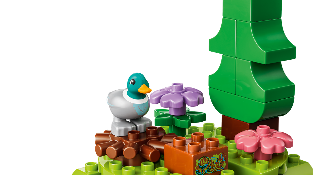 10480 | LEGO® DUPLO® Discovery Forest with Wild Animals