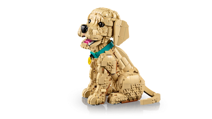11384 | LEGO® ICONS™ Golden Retriever Puppy