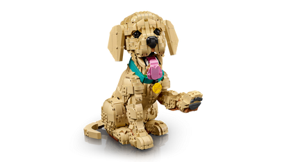 11384 | LEGO® ICONS™ Golden Retriever Puppy