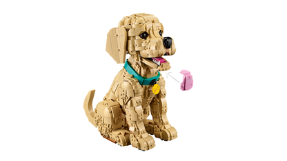11384 | LEGO® ICONS™ Golden Retriever Puppy