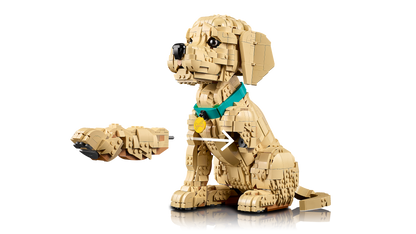 11384 | LEGO® ICONS™ Golden Retriever Puppy