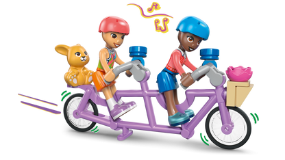 42689 | LEGO® Friends Heartlake City Friends Club House