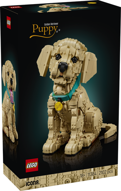 11384 | LEGO® ICONS™ Golden Retriever Puppy