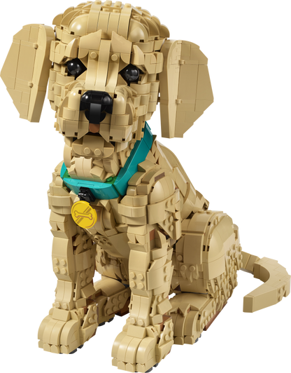 11384 | LEGO® ICONS™ Golden Retriever Puppy