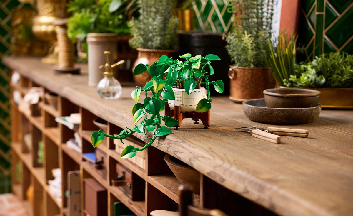11512 | LEGO® Botanicals Hanging Golden Pothos