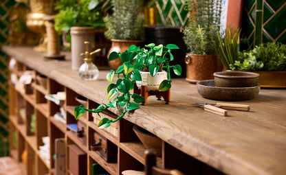 11512 | LEGO® Botanicals Hanging Golden Pothos