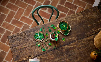11512 | LEGO® Botanicals Hanging Golden Pothos