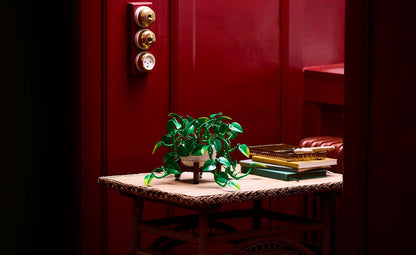 11512 | LEGO® Botanicals Hanging Golden Pothos
