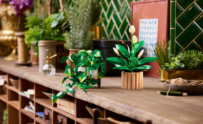 11512 | LEGO® Botanicals Hanging Golden Pothos